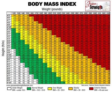 Body Mass Index Bmi Grayling High School Physical Education