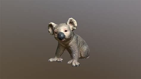 Koala 3d Models Sketchfab