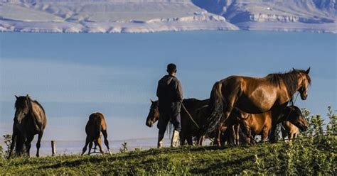 Die regierungsunmittelbaren städte chinas (直辖市 zhíxiá shì) sind verwaltungseinheiten auf provinzebene.es handelt sich bei ihnen nicht um provinzen, aber sie haben den gleichen rang wie provinzen und autonome gebiete und unterstehen direkt der zentralregierung der volksrepublik china. Das neue Leben eines Dorfes im Uigurischen Autonomen ...