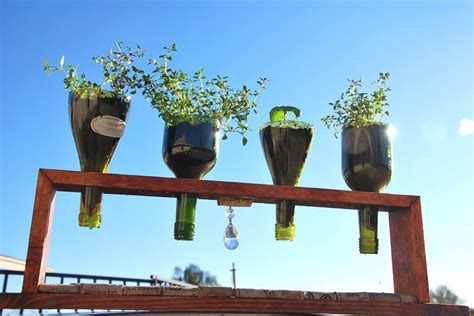 Wine Bottle Herb Garden Get That Bottle Cutter Out And Start Cracking