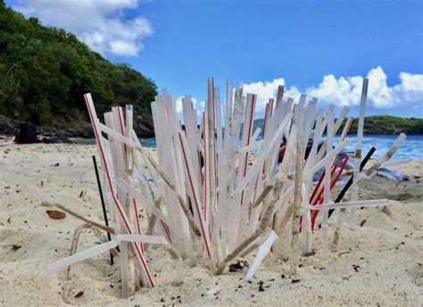 Vi Moves Closer To Banning Plastic Straws St Thomas Source