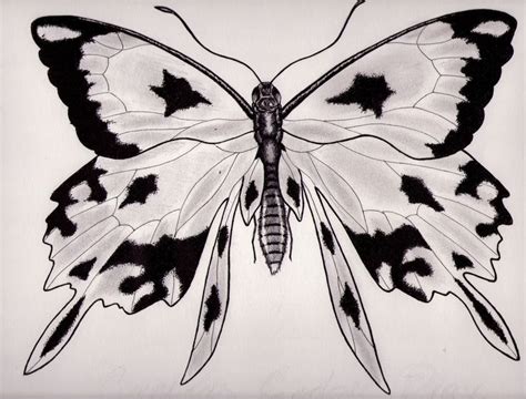 Dos Nuevos Dibujos Uno Especial Taringa Ilustraciones Mariposas