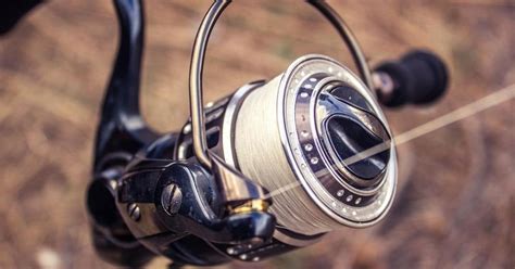 How To Clean A Spinning Reel Helpful Guide Shows You How