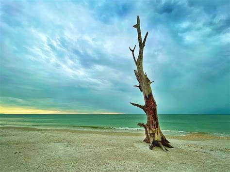 Winter On The Beach Lorna Littrell Photography