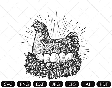 Hen Laying Eggs In Nest Hen Clipart Instant Digital Download Svg Eps