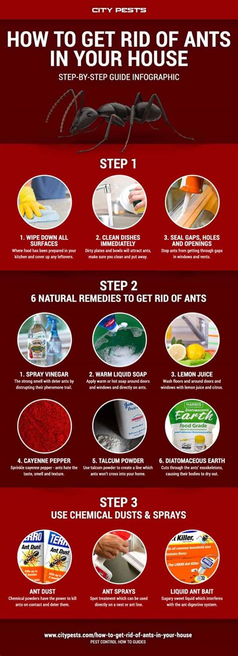 How To Get Rid Of Ants In Your House And Kitchen Ants Infographic