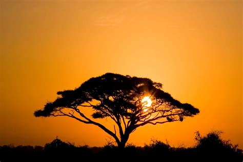 The national is an american rock band of cincinnati, ohio natives, formed in brooklyn, new york city in 1999. African Adventure Safari : 1 Day Safari to Amboseli ...