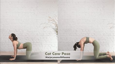 How To Do Cat Cow Pose Marjaryasana Bitilasana YouTube