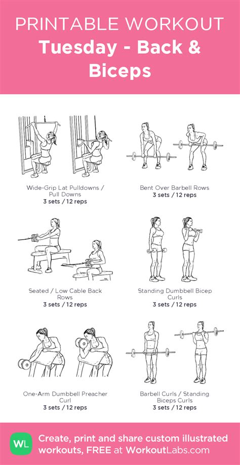 Tuesday Back And Biceps Illustrated Exercise Plan Created At