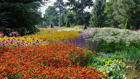 Sensory Garden Ideas 12 Ways To Stimulate The Senses With Planting
