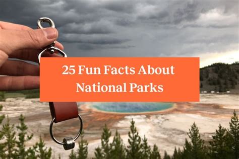 25 Fun Facts About National Parks