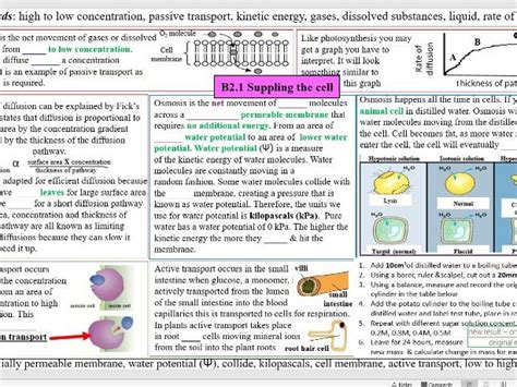 Gcse Biology B2 Scaling Up Revision Posters Teaching Resources