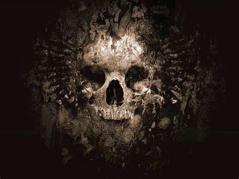 Awesome Skull Wallpapers Top Free Awesome Skull Backgrounds