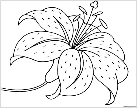 Just print it out and color with your kids. Lily Flower Coloring Pages - Flower Coloring Pages ...