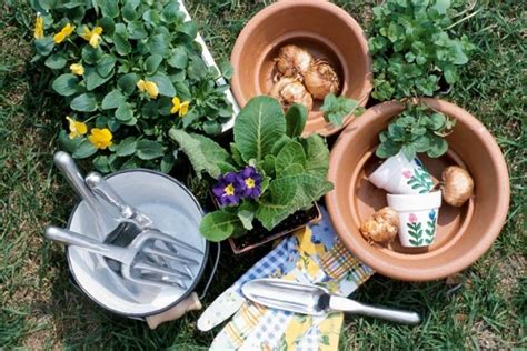 See more of mymotherlode.com on facebook. "Gardening in February?" You bet. | myMotherLode.com | Garden, Plants, Sunny days