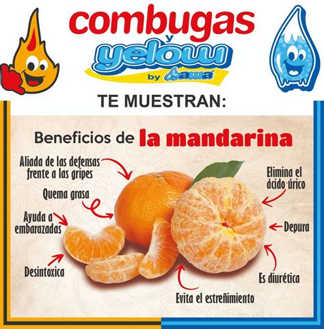 Beneficios De La Mandarina El Siglo De Torreón