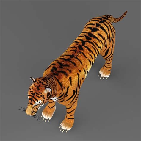 Realistic Tiger 3d Model In Wildlife 3dexport