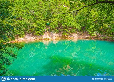 Summer Forest Lake Emerald Color Effect Stock Image