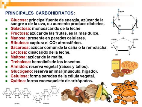 Carboidratos Correspondem As Biomoleculas AskSchool