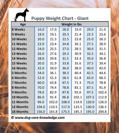 Puppy Weight Chart Template
