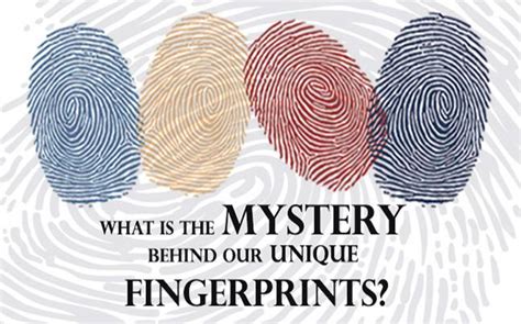 What Is The Mystery Behind Our Unique Fingerprints Education Today News