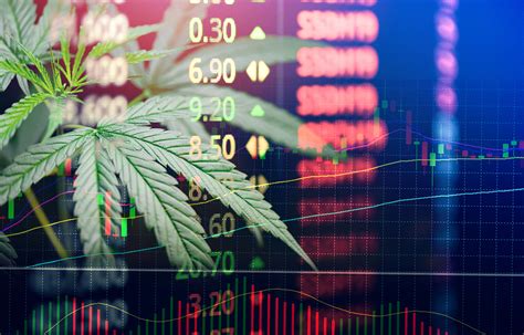 9 Cannabis Stocks Making Moves During An Explosive Us Election Week