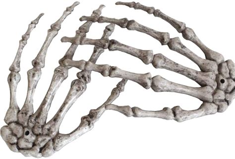 Halloween Skeleton Hands Realistic Life Size Severed Plastic Skeleton