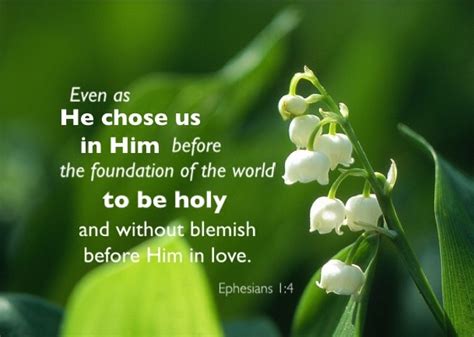 Ephesians 14 Even As He Chose Us In Him Before The Foundation Of The