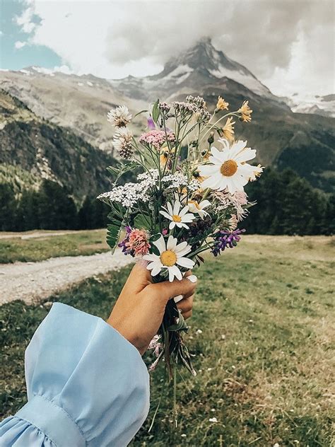 Switzerland Flower Wallpapers Top Free Switzerland Flower Backgrounds