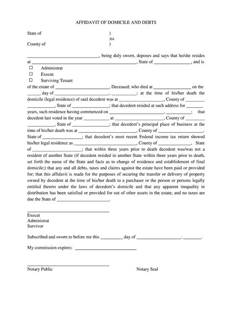 Affidavit Of Debts And Domicile New York Fill Out And Sign Online Dochub