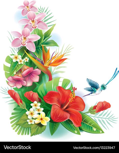 Arrangement From Tropical Flowers Royalty Free Vector Image