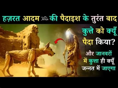 Duniya Ka Sabse Pehla Insan Or Pehla Janwar Hazrat Aadam A S Or