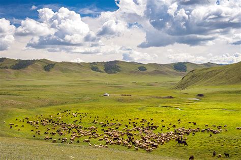 Popular Destinations in Mongolia - Mongolia top Attractions