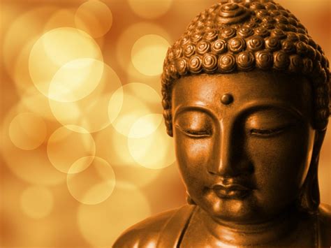 13 Consejos De Buda Para Tiempos Difíciles La India Increíble