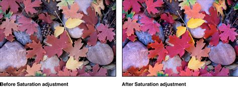 Enhance Contrast Definition Saturation And Vibrancy Aperture Help
