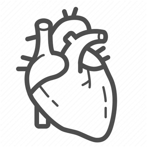 Cardio Cardiology Cardiovascular Health Healthcare Heart Medical Icon