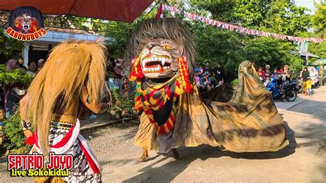 Barongan Satrio Joyo Live Sokokidul Atraksi Penutupan Barongan Ngamuk