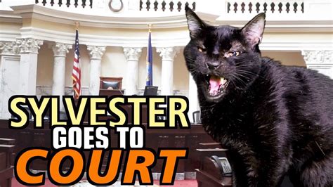 talking kitty cat 69 sylvester goes to court ｜ 世界のカワイイ 猫ちゃん動画 まとめ サイト