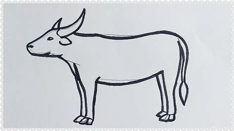 Cara Mudah Menggambar Dan Mewarnai Binatang Kerbau Belajar Menggambar