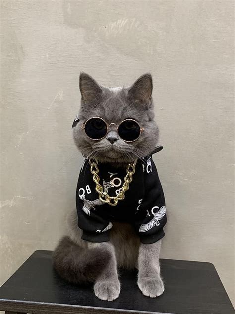 Boy London Style Black Woolen Sweatshirt Costume For Small Medium Cats