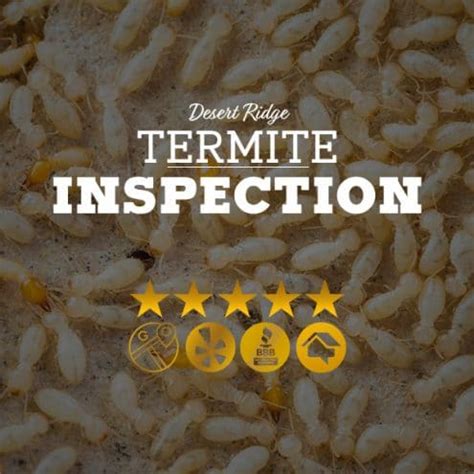 Bulwark pest control is the solution and they're here to help.for more of bulwark exterminating, visit. What Is The Most Destructive Termite In Mesa, AZ?