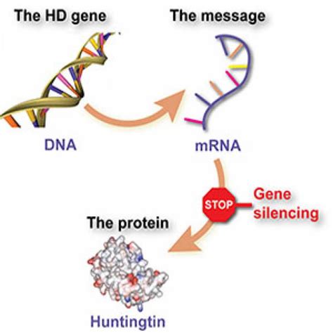 First human trial for innovative new drug in development to treat