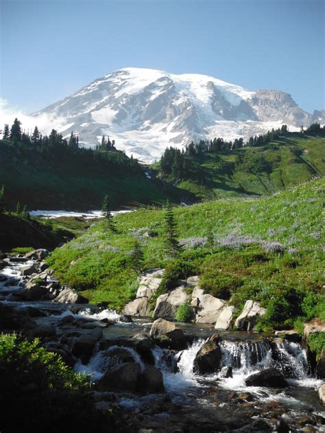 Paradise In Mount Rainier National Park Washington Paradise Is