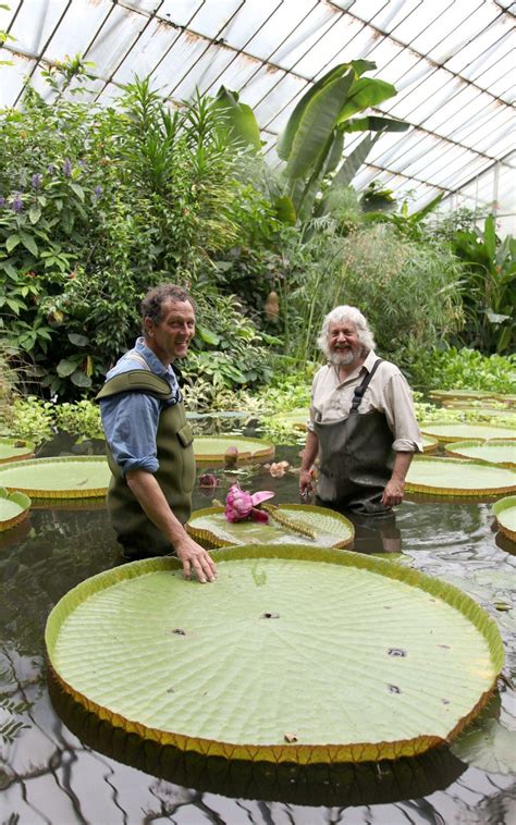 He also answers new questions from readers. Monty Don: I prefer William Kent to Capability Brown ...