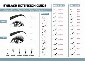Eyelash Extension Styles Chart Forchics