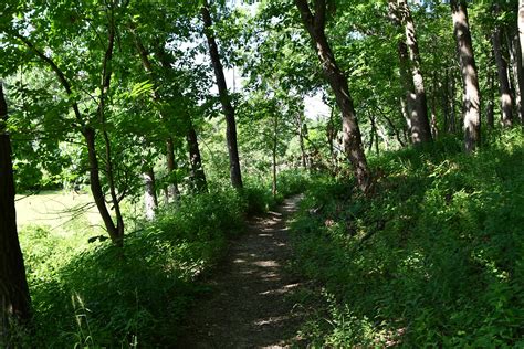 Mckinley Woods Where The Past And Present Meet Forest Preserve District Of Will County