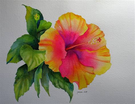 Nels Everyday Painting Watercolor Hibiscus Sold