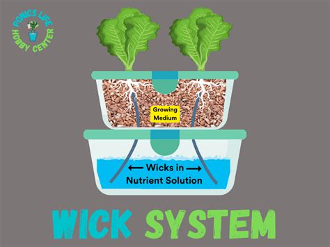 Hydroponic Wick System The Best System For Beginners