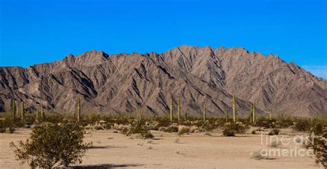 Sonoran Desert Landscape Photograph By Robert Bales