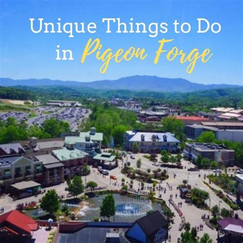 Maybe you would like to learn more about one of these? Unique Things to Do in Pigeon Forge | Things to do ...